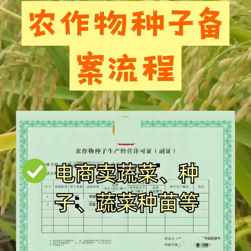 农作物种子生产经营备案表蔬菜种子秧苗证注册执照个体生产备案