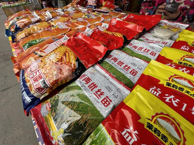 万象耕新2023丨春耕时节,一粒玉米种子下地的两道关口