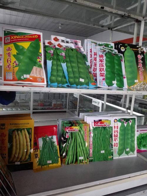 七星泡农艺人种子商店种子篇